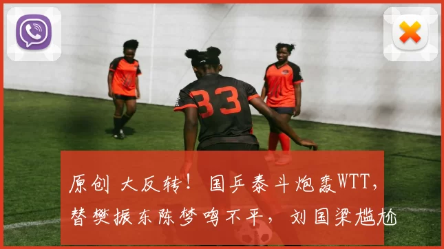 原创 大反转！国乒泰斗炮轰WTT，替樊振东陈梦鸣不平，刘国梁尴尬了