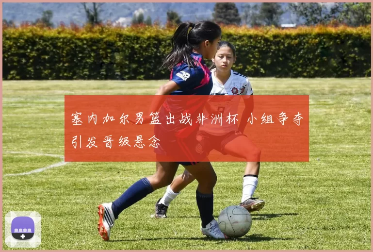 塞内加尔男篮出战非洲杯 小组争夺引发晋级悬念